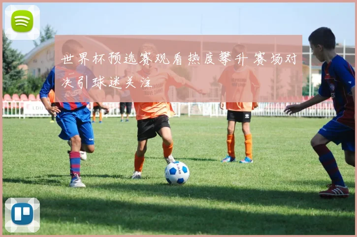 世界杯预选赛观看热度攀升 赛场对决引球迷关注