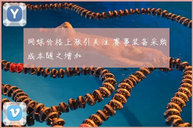 网球价格上涨引关注 赛事装备采购成本随之增加