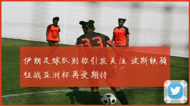 伊朗足球队别称引发关注 波斯铁骑征战亚洲杯再受期待